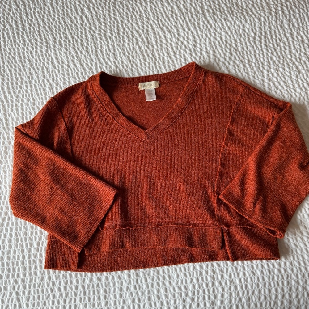Altar'd State Terracotta V-Neck Cropped Sweater
